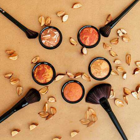 تصویر برای دسته  رژ گونه